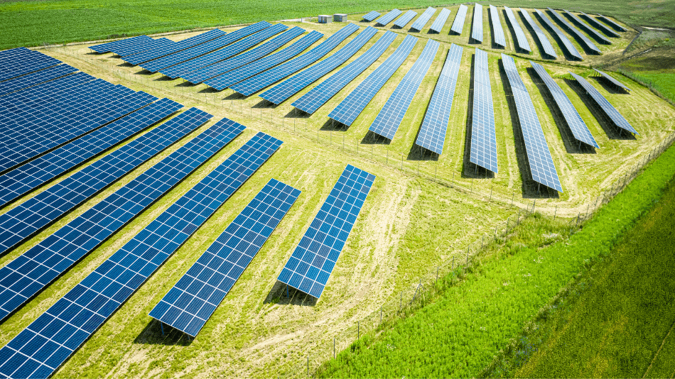solar panel farms
